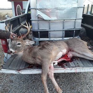 Meet your Posher, Zach